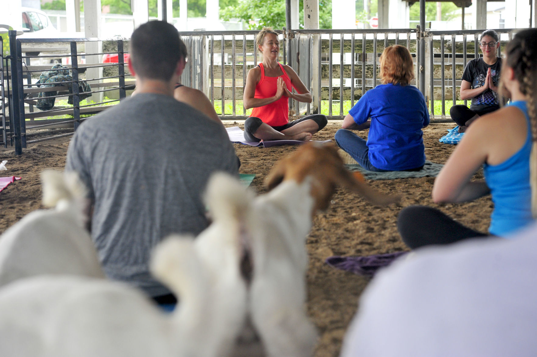CHARLESTON GOAT YOGA 8 (06/22/19)